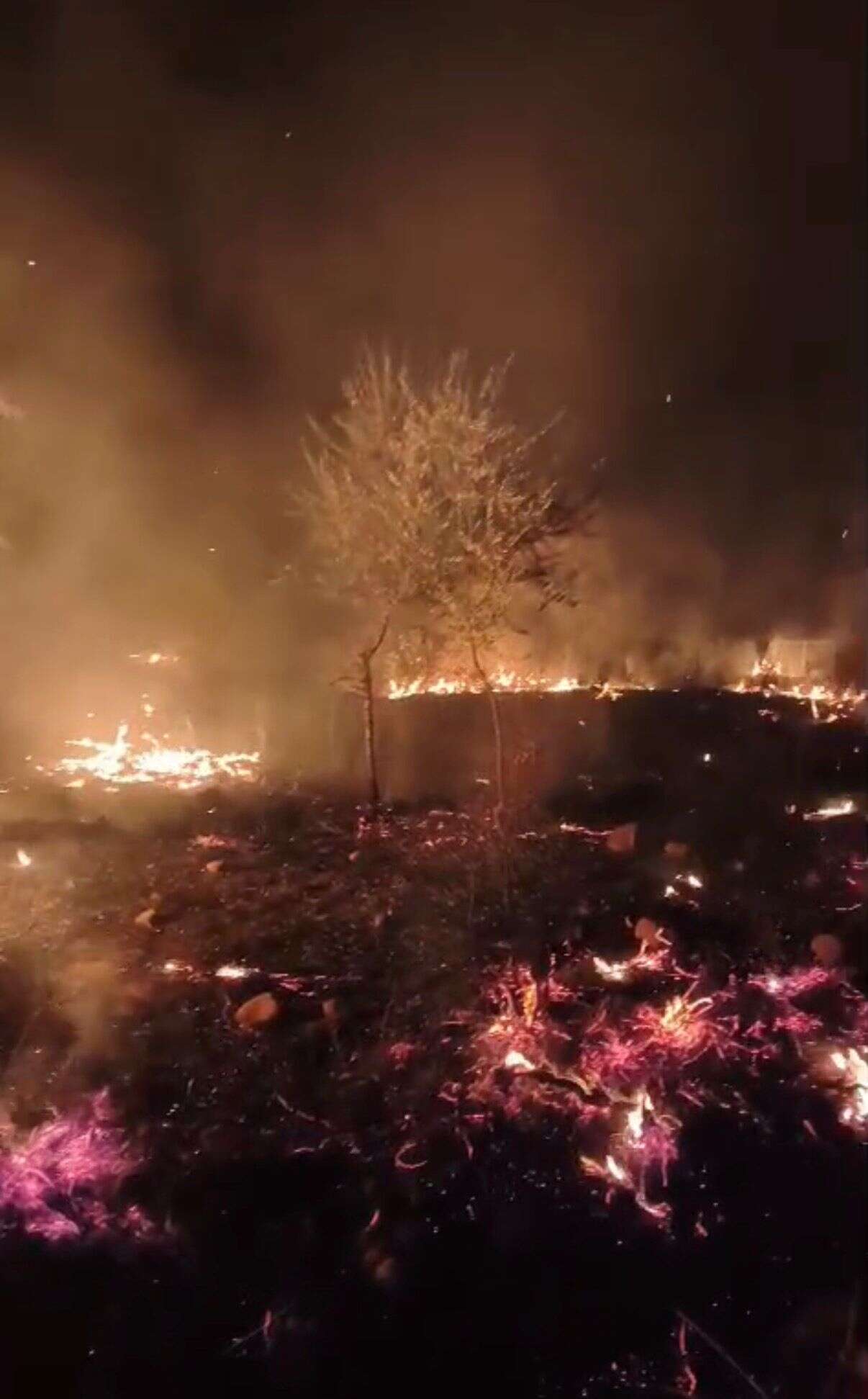 Milas’ta Gece Saatlerinde Arazi Yangını! Ekipler Seferber Oldu 4